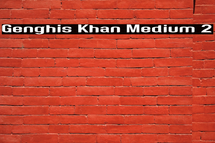 Genghis Khan Medium 2 Example 1