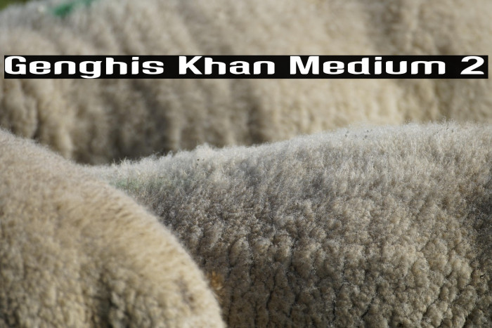 Genghis Khan Medium 2 Example 2
