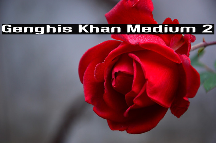 Genghis Khan Medium 2 Example 3