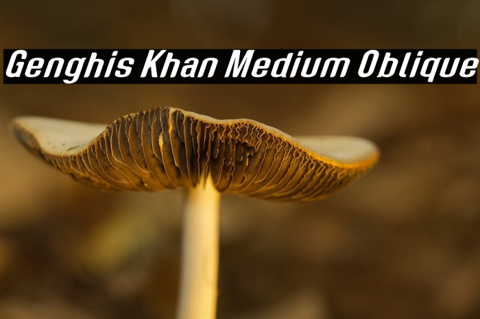 Genghis Khan Medium Oblique Example 1