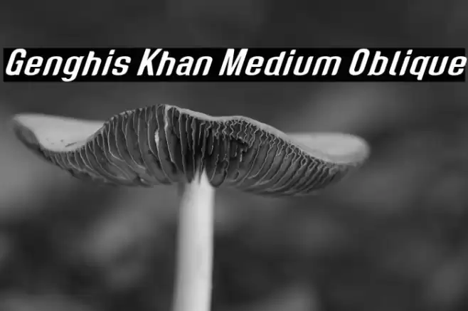 Genghis Khan Medium Oblique Font examples