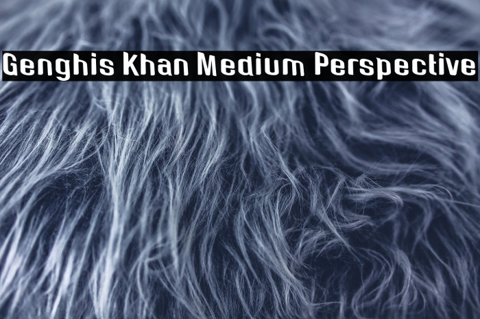 Genghis Khan Medium Perspective Example 1