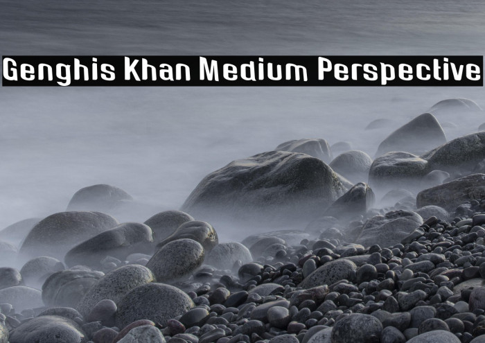 Genghis Khan Medium Perspective Example 2
