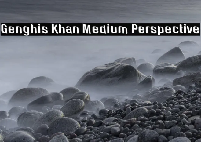 Genghis Khan Medium Perspective Example 2