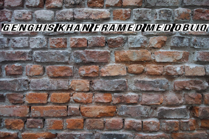 Genghis Khan framed Med Obliq Example 3