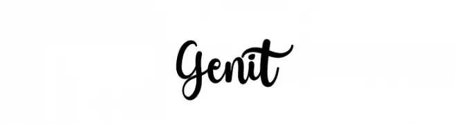 Genit  Скачать бесплатные шрифты