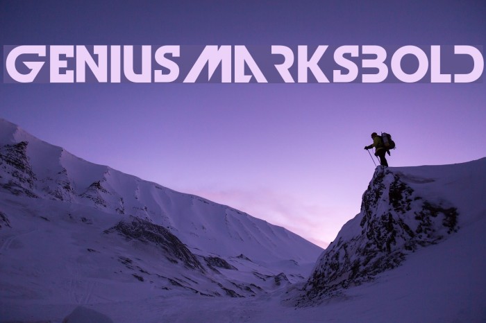 GeniusMarksBold Font examples
