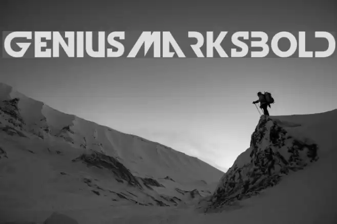 GeniusMarksBold Font examples