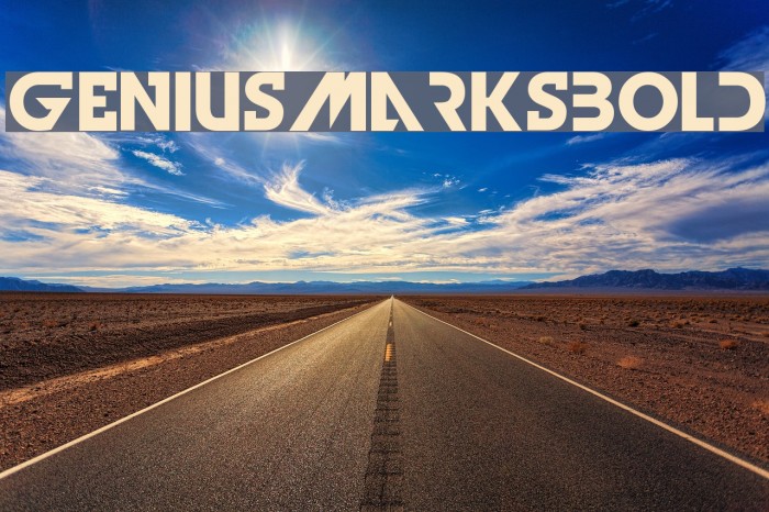 GeniusMarksBold Font examples