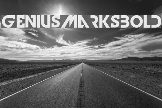 GeniusMarksBold Font examples