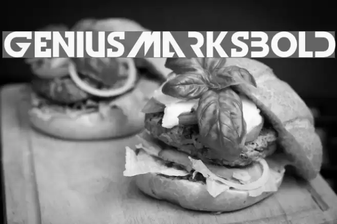 GeniusMarksBold Font examples