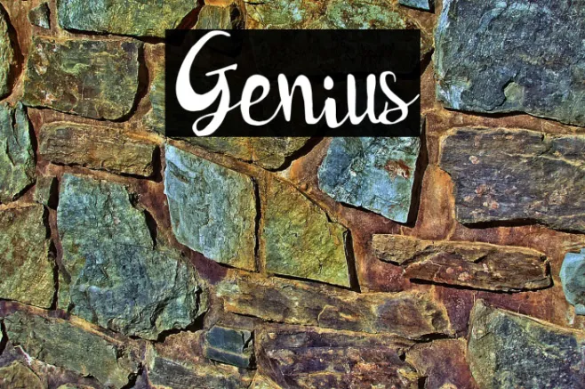 Genius Example 2
