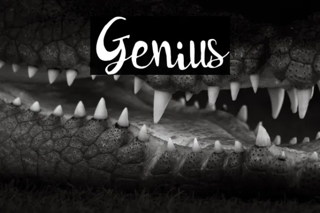 Genius Example 3