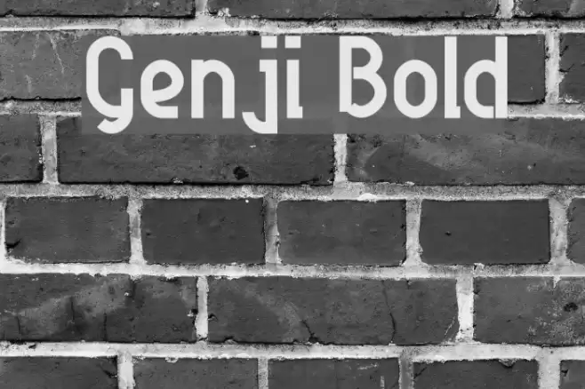 Genji Bold Font examples