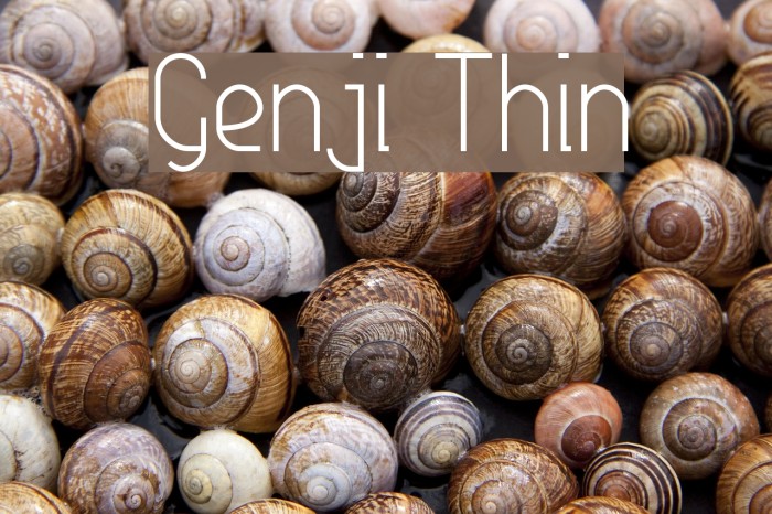 Genji Thin Font examples
