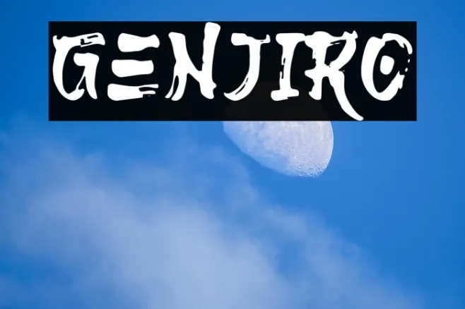 Genjiro Example 2