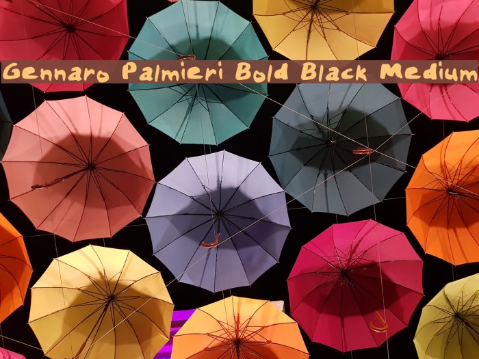 Gennaro Palmieri Bold Black Medium Example 1