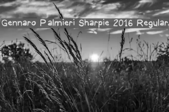 Gennaro Palmieri Sharpie 2016 Regular Шрифта examples