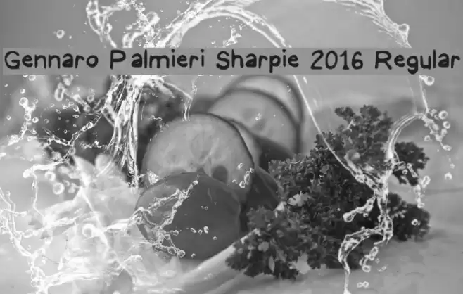 Gennaro Palmieri Sharpie 2016 Regular Шрифта examples