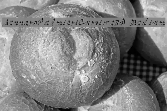 GennaroPalmieriCursive_3D Medium Font examples