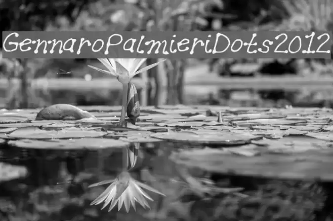 GennaroPalmieriDots2012 Fuentes examples