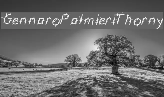 GennaroPalmieriThorny Font examples