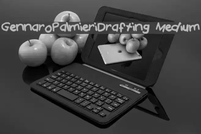 Gennaro_Palmieri_Drafting Medium Font examples