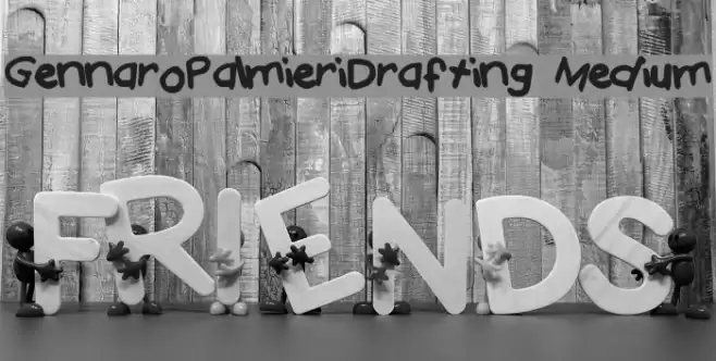 Gennaro_Palmieri_Drafting Medium Font examples