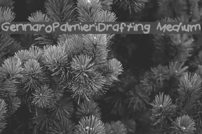 Gennaro_Palmieri_Drafting Medium Font examples