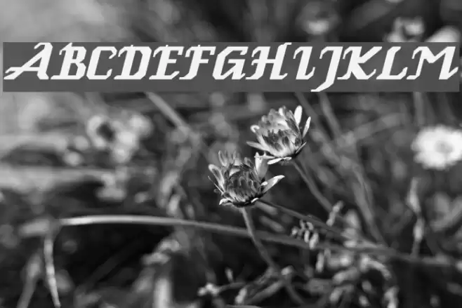 Genoa Italic Шрифта examples