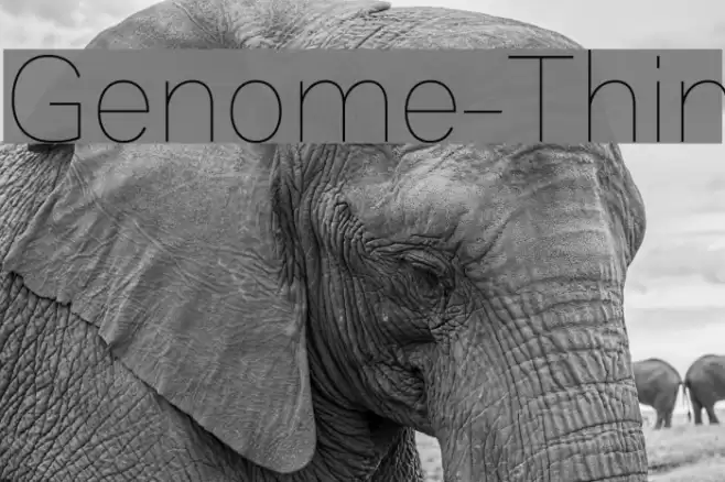 Genome-Thin Font examples