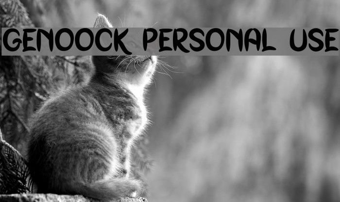 Genoock Personal Use Schriftart examples