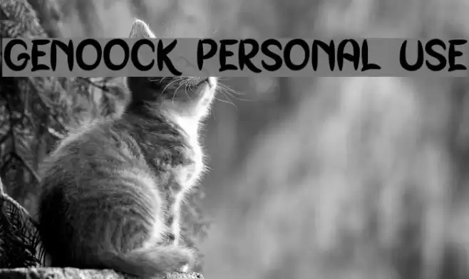Genoock Personal Use Font examples