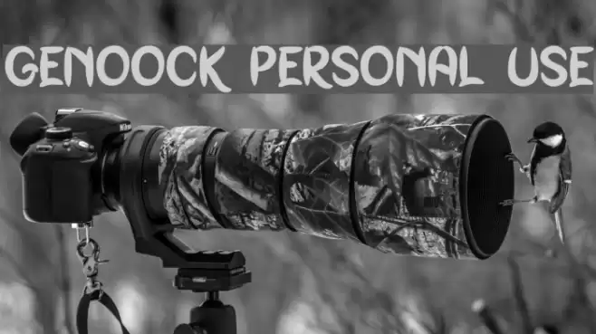 Genoock Personal Use Font examples