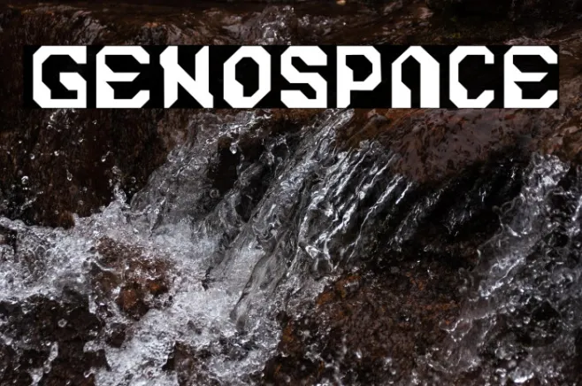 Genospace Example 2