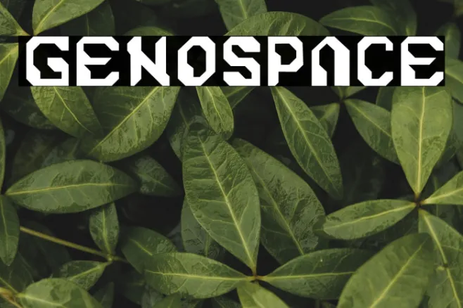 Genospace Example 3