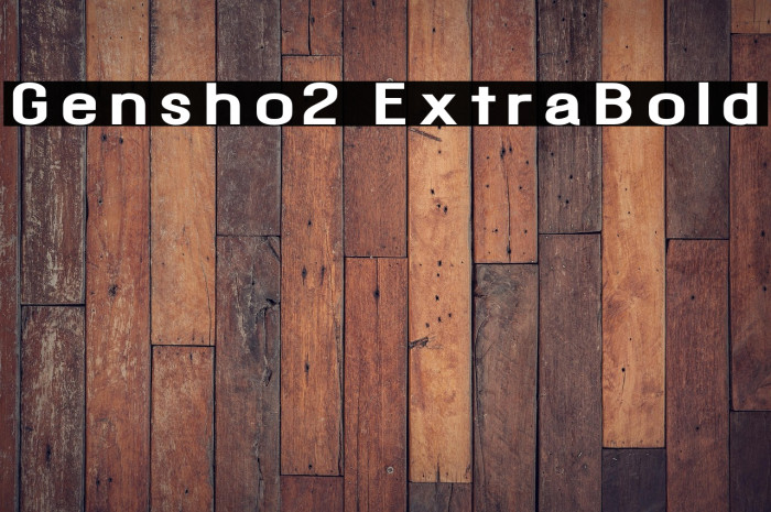 Gensho2 ExtraBold Example 1