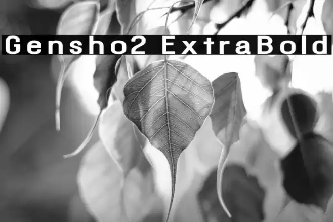 Gensho2 ExtraBold Font examples
