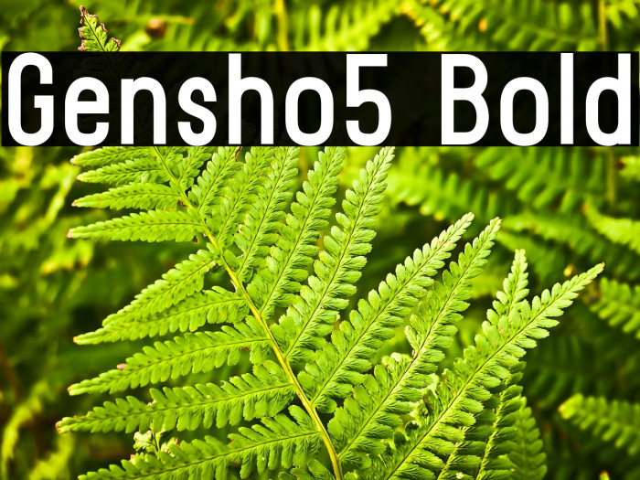 Gensho5 Bold Example 1