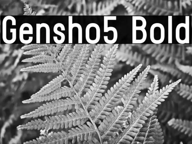 Gensho5 Bold خط examples