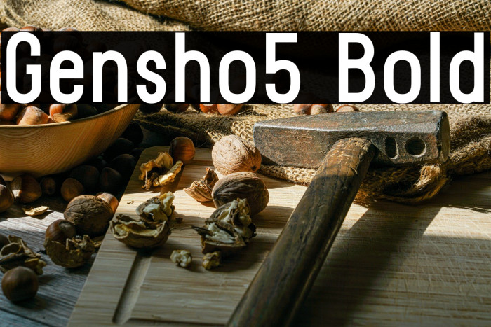 Gensho5 Bold Example 2