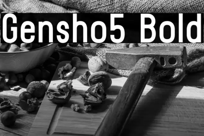 Gensho5 Bold خط examples
