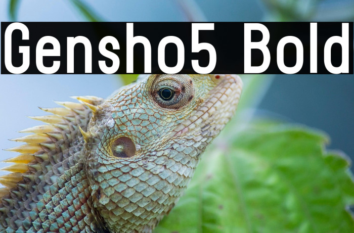 Gensho5 Bold Example 3