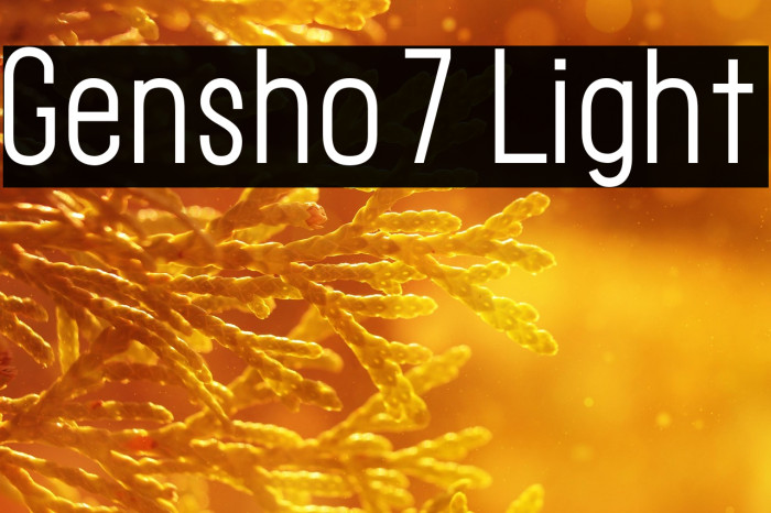 Gensho7 Light Example 2