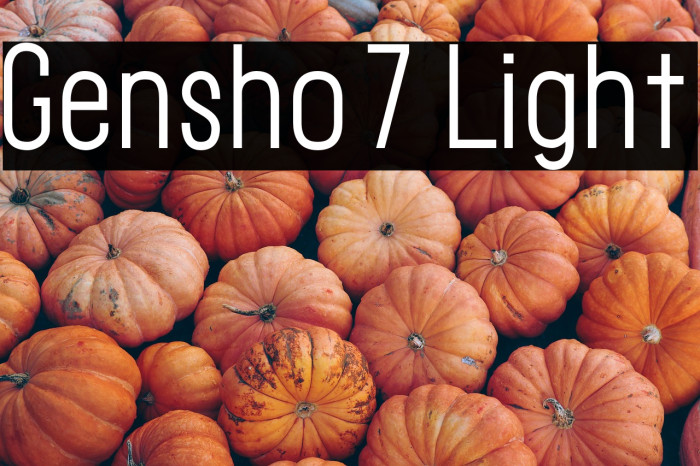 Gensho7 Light Example 3