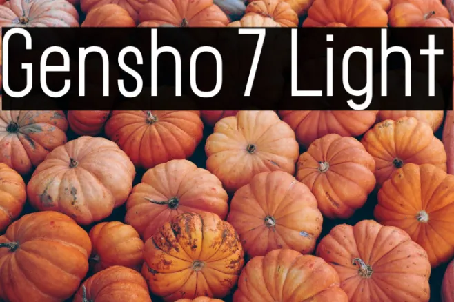 Gensho7 Light Example 3
