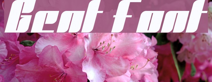 Gent Font examples