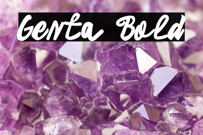 Genta Bold Example 2