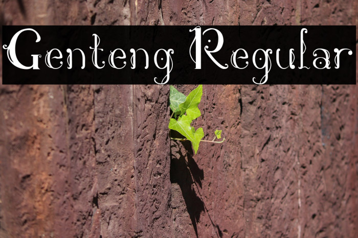 Genteng Regular Font examples