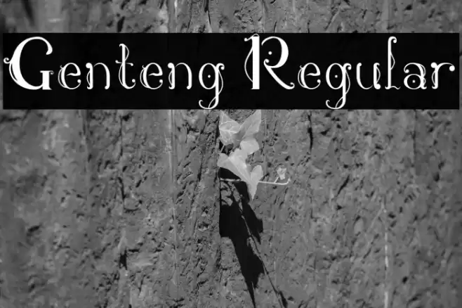 Genteng Regular 字体 examples